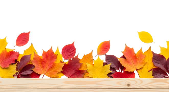 Vibrant Autumn Leaves Adorn a Wooden Border on White Background, Symbolizing Fall Season's Beauty and Harvest Festivities