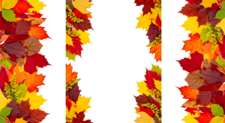 Vibrant Autumn Leaves Frame White Background, Showcasing Nature's Colorful Transition and Providing Ample Space for Text or Design Elements