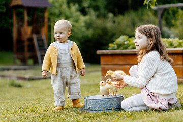 Older sister showing little ducklings to toddler girl.