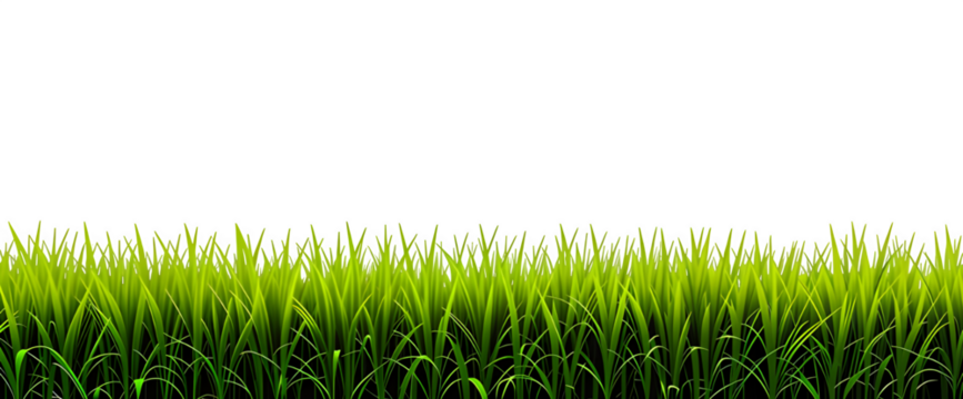 Fresh green grass isolated on transparent background 