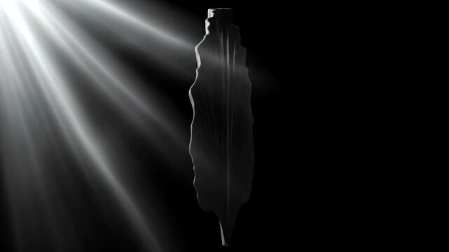 Elegant silver leaf sculpture illuminated by soft light against black background
