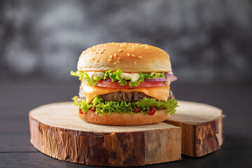 Homemade cheeseburger with patty, cheese, tomato and salad