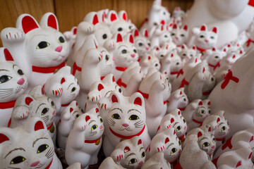 This landscape photo was taken in Asia, Japan, Kantō, Tokyo, in summer. It shows the cat of the Gōtokuji temple in Tokyo, under the Sun.
