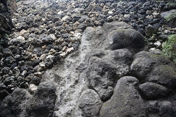 Surface of volcanic rock with rough, porous texture.
