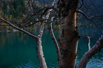 Lake Issyk in the rays of the setting sun. National Nature Park. Mountainous area with different vegetation.