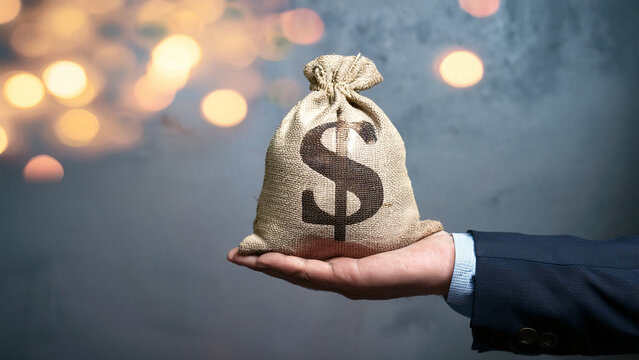 Money Bag in Hand Investment Wealth and Financial Success Concept