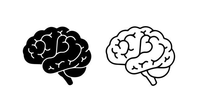 Brain anatomy outline with transparent background
