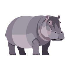 Fototapeta premium Vector Illustration of a Hippo on White Background