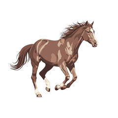Obraz premium Elegant Brown Horse Galloping Vector Illustration Isolated on White Background