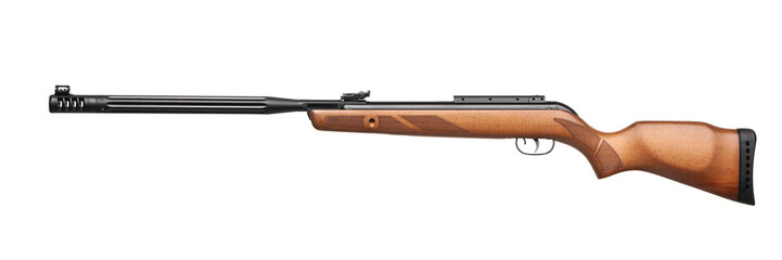 Wood stock air rifle with scope