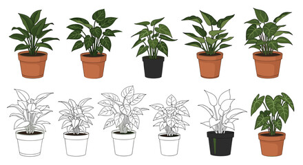 Obraz premium A collection of potted green houseplants in various styles and pots.