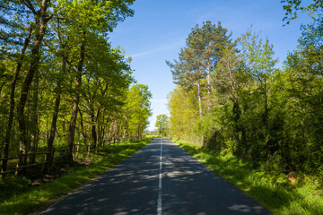 Fototapeta premium This landscape photo was taken in Europe, France, Centre Val de Loire, Loiret, Dampierre en Burly, in summer. It shows the country road in Dampierre en Burly, under the Sun.