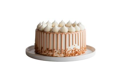 Delicious cake with white cream frosting and caramel drizzle