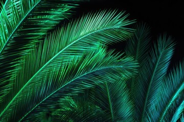 Fototapeta premium Close-up of vibrant, textured palm fronds against a stark black background, showcasing details