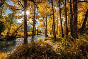 Obraz premium Bright sunlight filters through vibrant yellow trees lining a flowing river in a sunlit forest