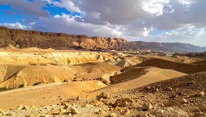 Expansive desert landscape under a cloudy sky, showing layered rock formations