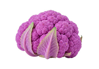 Isolated purple cauliflower head, fresh vegetable with edible florets and leaves closeup