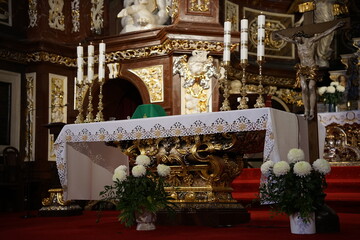 Katedra pw. św. Stanisława B. M. i św. Wacława M w Świdnicy