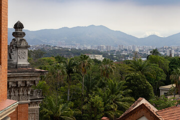 Trees and Mountains View from the Top of a Castle 