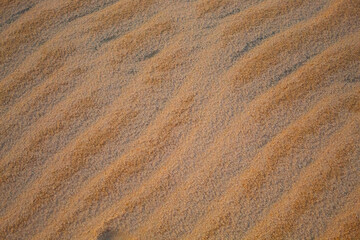 close up of wind-molded beach sand