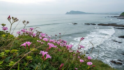Coastal Clifftop Wildflowers Pink Blooms Ocean Waves Rolling Grey Sea Distant Headland pink flowers