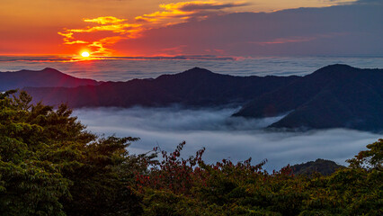 日光　いろは坂　明智平から見る日の出と雲海　絶景