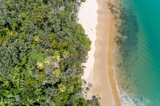 Tropical forest meets sandy beach and ocean