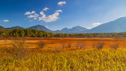 小田代ヶ原の草紅葉　秋の奥日光　絶景
