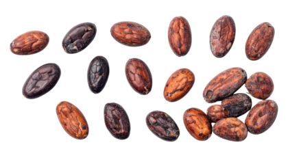 Natural cocoa seed collection displayed on white background isolated on transparent background