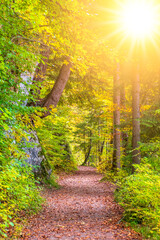 Fototapety na wymiar - Fototapeta24.pl