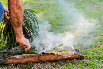 Eucalyptus gum leaves for smoking welcome ceremony at NAIDOC Week event