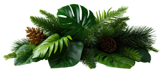 Lush Greenery Arrangement with Pine Cones and Tropical Leaves Isolate on Transparent Background, png