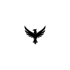 Silhouette of a bird with wings spread wide, facing the viewer