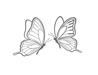 Monochrome Outline Butterfly Pair Vector Illustration Elegant Nature Design

