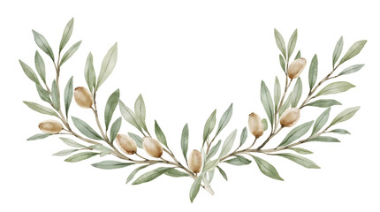 Fototapeta premium Olive Branch with Green Leaves and Fruit on Transparent Background