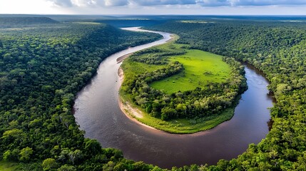 Aerial View of Meandering River in Lush Rainforest