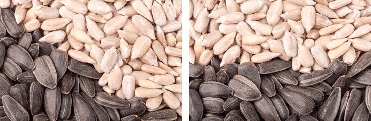 Sunflower seeds close up as background
