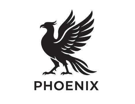Majestic Black Phoenix Bird Vector Logo Illustration for Company Rebranding


