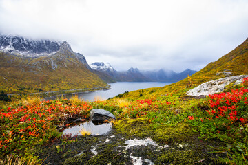 Autumn landscape of Senja Island in Northern Norway with colorful foliage, mountains, and a serene fjord.