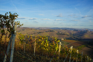 Views near Monforte d'Alba, Piedmont - Italy