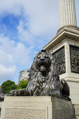 London - A lion's statue in Trafalgare Square