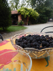 Lots of succulent blackberries in a bowl