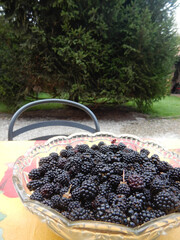 Lots of succulent blackberries in a bowl