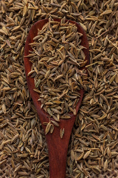 A wooden spoon filled with cumin seeds, with a background of more cumin seeds