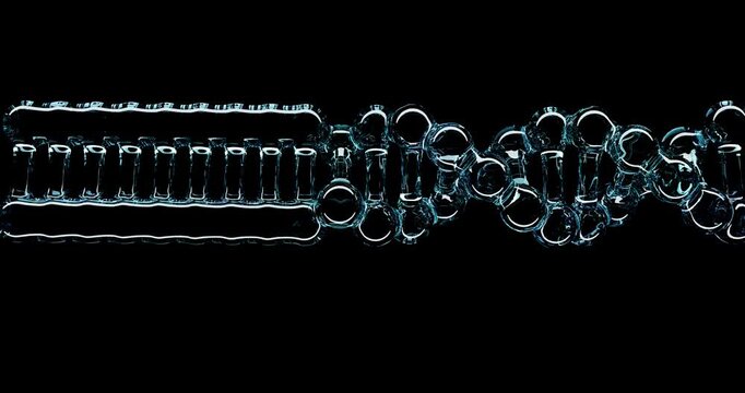 Rotating DNA Double Helix Unwinding & Rewinding, Seamless Loop.