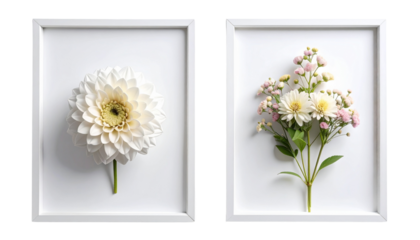 Two floral invitation card variations with protea in vase isolated on transparent background