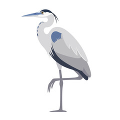 Obraz premium Elegant Grey Heron Standing on One Leg Vector Illustration