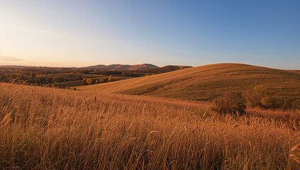 Fototapeta premium Golden Fields Under Sunset Sky, Nature's Splendor