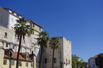 Historic architecture and palm trees under a bright blue sky in Split, Croatia