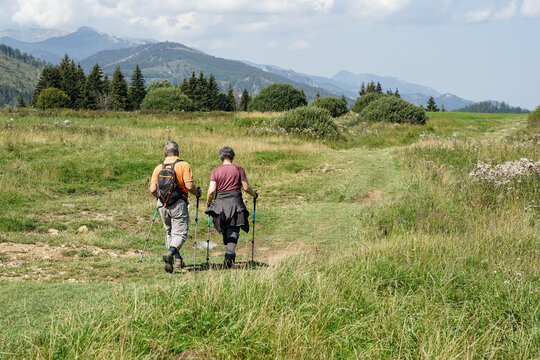 Middle-aged or pensioner couple hiking or walking on meadow and enjoying nature, lifestyle concept